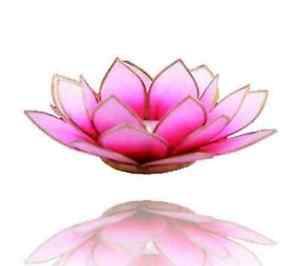 Chakra Capiz Lotus Teelicht, rosa - hell rosa