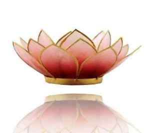 Chakra Lotus Licht, Capiz Teelicht rot - hell rot